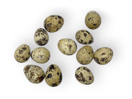True Quail Eggs 12pcs with Shells