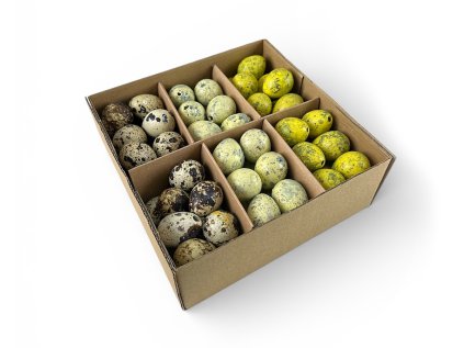 quail eggs box mint quail eggs yellow1