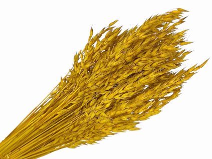 suseny ovos dried avena yellow