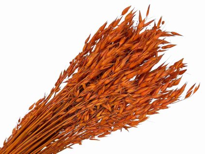 suseny ovos dried avena orange