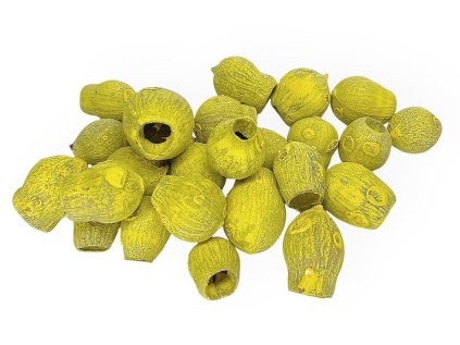 dried eucalyptus pods bell gum yellow