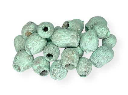dried eucalyptus arrangement fruits eucalyptus pods bell gum mint green pastel green