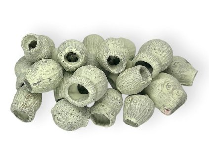 dried eucalyptus decorative fruits eucalyptus pods bell gum lichen beige moss lichen