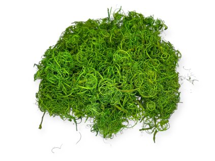 Dried curly arranging moss 150g - Curly moss - light green