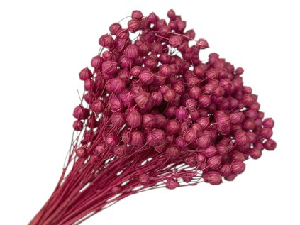 dried fuchsia beetroot rope