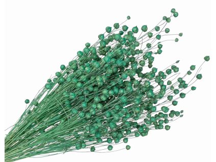 suseny lan siaty tyrkysovy