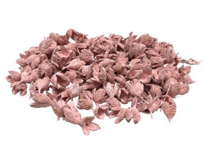 Dried Beech Nuts - 220g, Dyed Pink