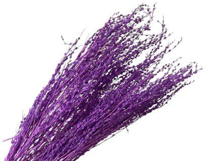 Dried Grass Lepidium - Cress 100g - Bleached Purple