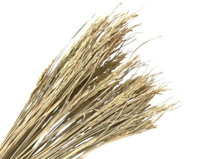 Dried arranging rice 100g - natural