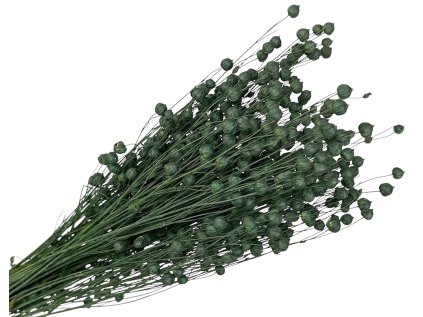 suseny lan linum dark green