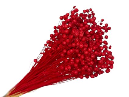 dried red linen