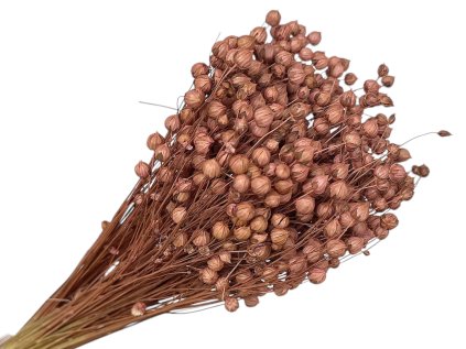 dried cotton boho mocha mousse