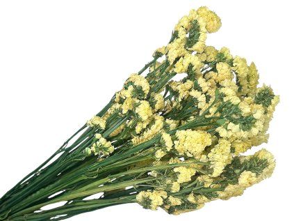 statice limonium tatarica dried yellow
