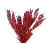 dried millet ears red1