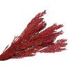 dried millet ears red