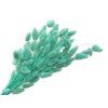 Dried grass Lagurus - bunny tail 50g - aqua