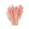 psenica triticum powder pink pudrova1