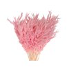 ovos avena powder pink pudrova