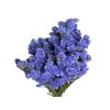 dried statice limonium blue flowers