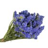 statice limonium dried blue limonium flowers