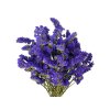 statice limonium dried flowers limonium dark purple1