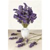 Dried Statice - Statice Limonium 100g - dark purple