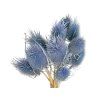 dipsacus thistle jeans blue blue1