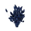 susena trava chrastnica dried phalaris dark blue tmavomodrá1
