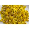 susene slamienky hlavicky straw flowers heads 100g žlté yellow1