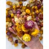 dried helichrysum heads straw flowers heads 100g assorted mix colors2