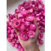 dried strawflowers heads helichrysum vestitum straw flowers heads 100g pink pink2