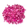 dried strawflowers helichrysum vestitum straw flowers heads 100g pink