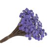 botao amarelino dried flowers fialove purple