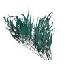 eucalyptus willow blue dried leaves1