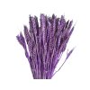 psenica dried wheat susene obilie purple fialova susina1