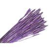 dried wheat dried wheat dried grain purple violet dried thing