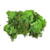 Icelandic moss, reindeer moss 250g light green (2)