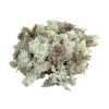 Icelandic moss, reindeer moss 250g beige natural (2)