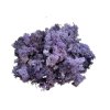 Islandský lišajník, sobí mach 250g - fialový