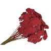 achillea dried preserved red rebricek susene kvety červené