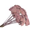 achillea dried sušený rebríček vintage rose staroružový