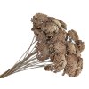 achillea dried sušený rebríček vintage brown hnedý rustikálny
