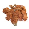 achillea dried sušený rebríček vintage orange rustikálne oranžové1