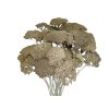 achillea dried sušený rebríček vintage mould rustikálne bahenné sivé1