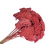 achillea dried sušený rebríček vintage red červený