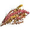 eukalyptus stuartiana preserved stabilizovany eucalyptus jesenny mix autumn2