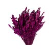 dried oats fuchsia dark purple1