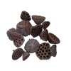 Siušené Lotosové kvety 6–8 cm 1 kg - prírodné