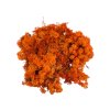 Islandský lišajník, sobí mach 250g oranžový (4)