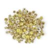 slamienky helichrysum straw flower heads hlavičky cream yellow kremove zlte